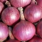 Onion